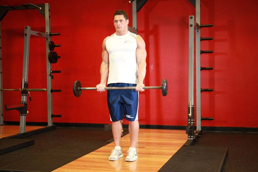 Démonstration de l’exercice : Curl biceps à la barre