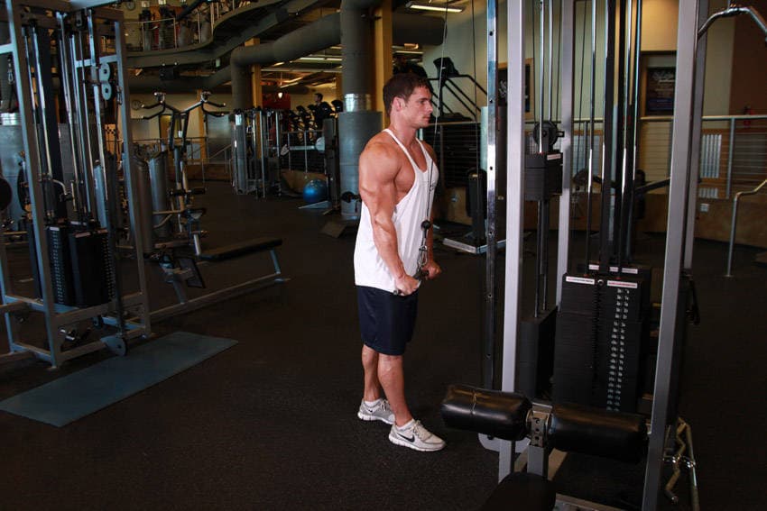 Démonstration de l’exercice : Extension triceps à la poulie haute