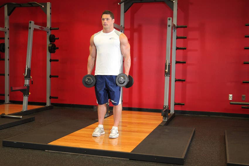 Démonstration de l’exercice : Curl biceps avec haltères