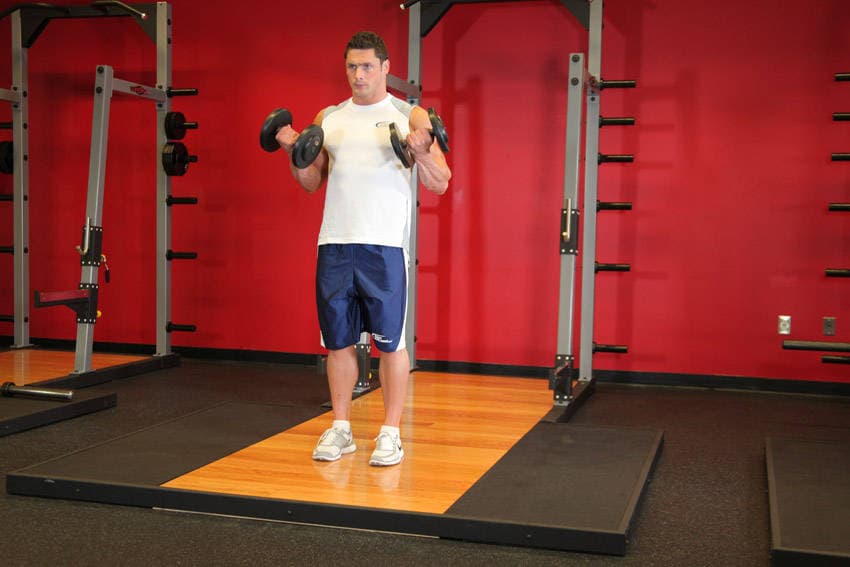 Démonstration de l’exercice : Curl biceps avec haltères