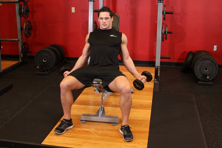 Démonstration de l’exercice : Curl biceps incliné en éventail