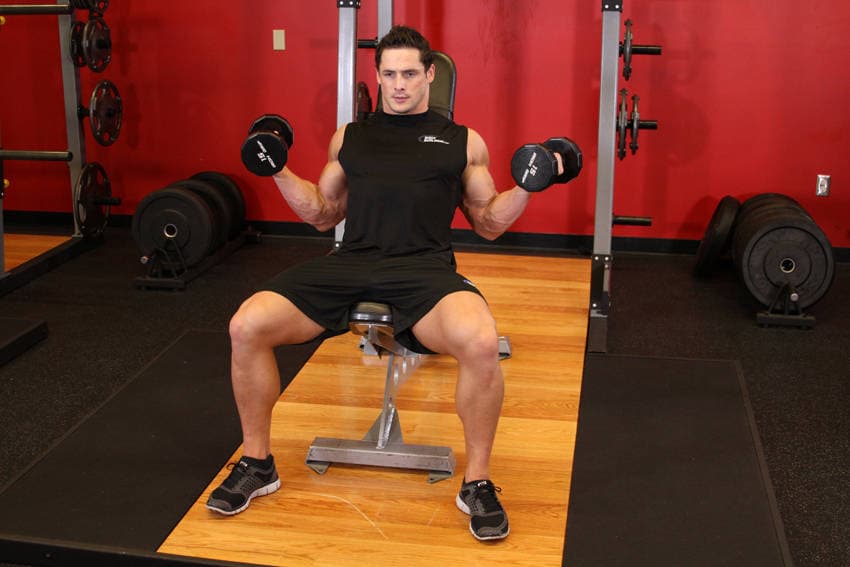 Démonstration de l’exercice : Curl biceps incliné en éventail