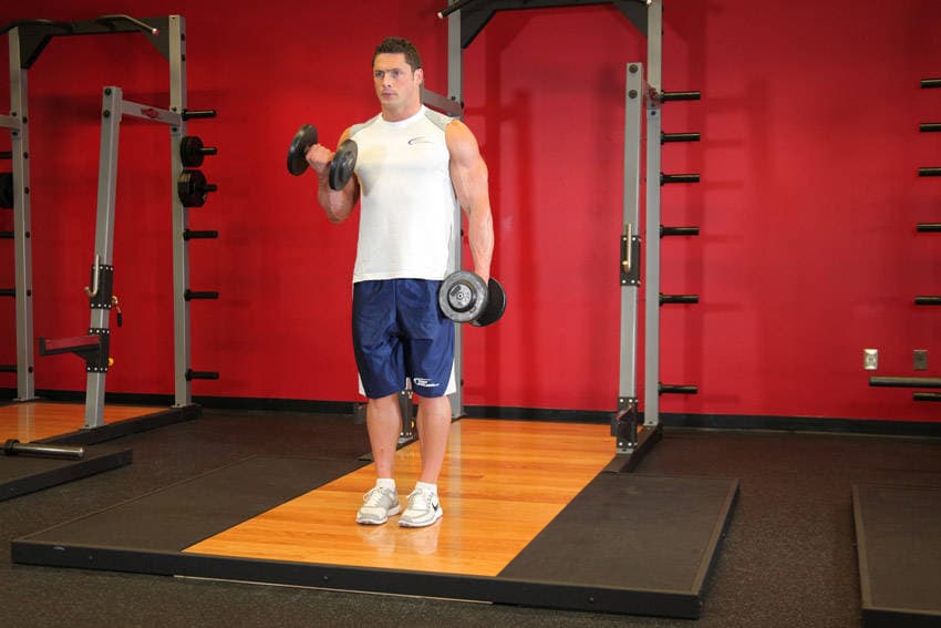 Démonstration de l’exercice : Curl biceps alterné avec haltères
