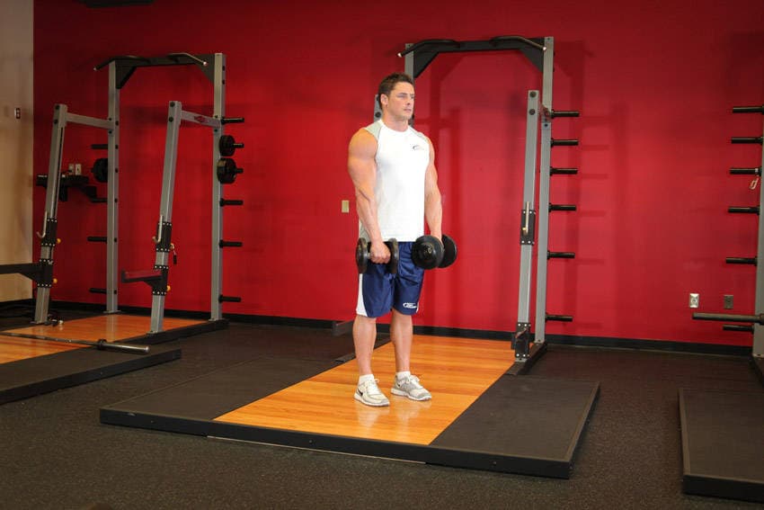 Démonstration de l’exercice : Curl inversé debout avec haltères