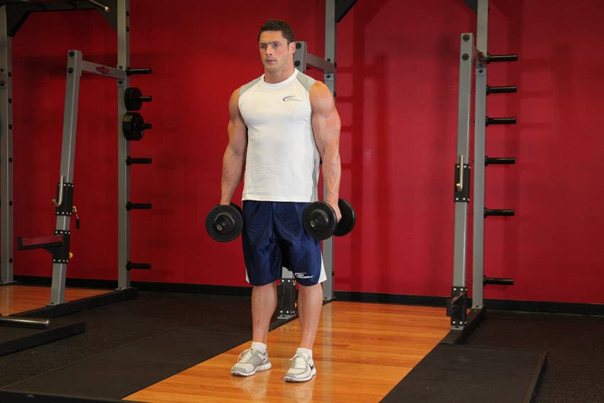 Démonstration de l’exercice : Curl biceps debout avec rotation du poignet